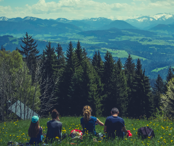 Insurances in Germany