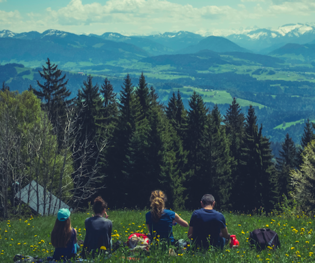 insurances in Germany